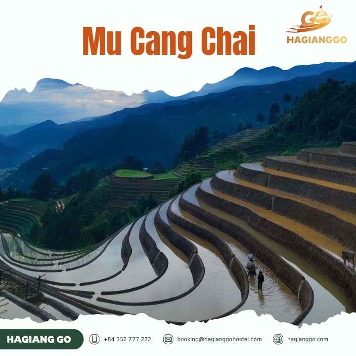 Mu Cang Chai Vietnam Travel Guide: Rice Terraces, Best Time & Things to Do